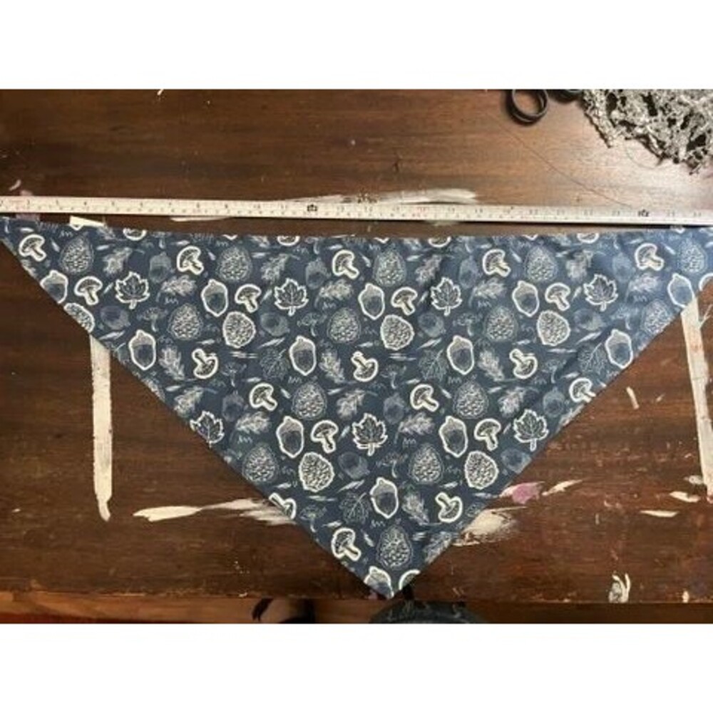 Frisco Fall Vibes Dog Bandana MD/LG